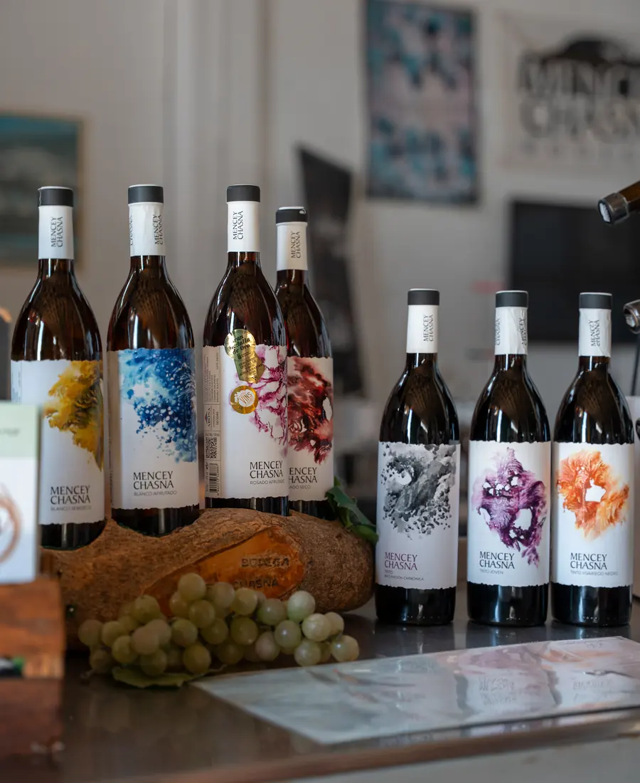 Botellas de vino alineadas en la bodega