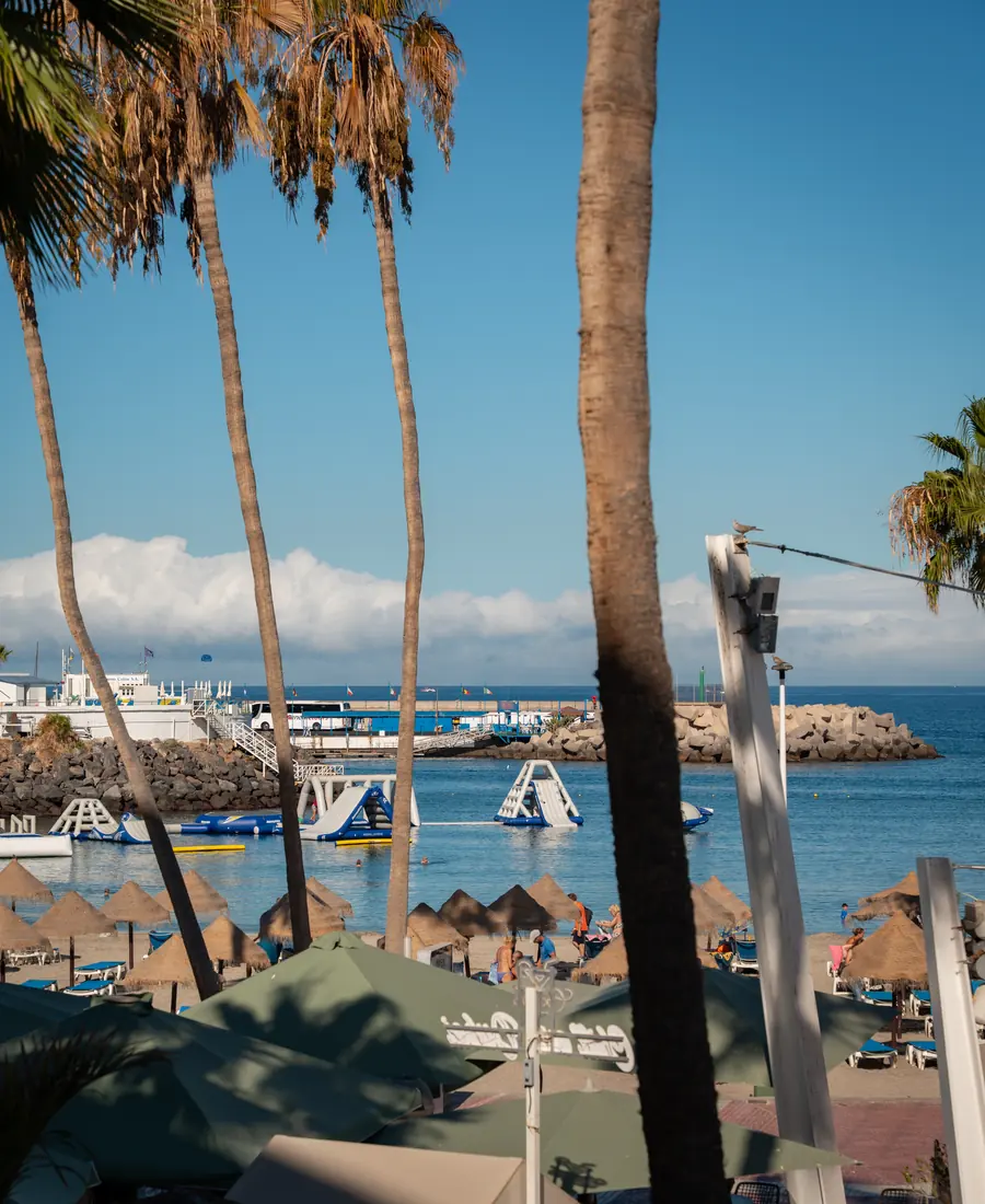 Palmeras y playa con el puerto al fondo